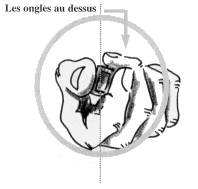 Tenir son arme